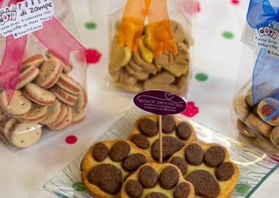 Biscotti artigianali decorati con cioccolato e confezionati con nastri colorati, presentati in confezioni trasparenti, perfetti per regali o occasioni speciali.